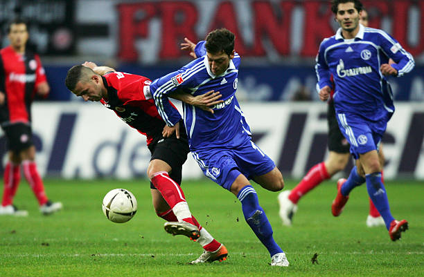 皇家社会的 皇家社会的